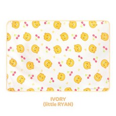 카카오무릎담요