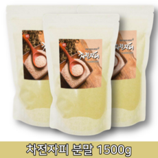 임산부차전자피