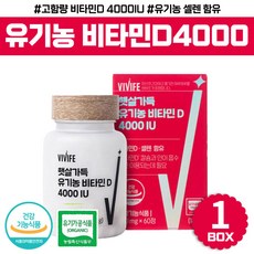 비타민자료해석