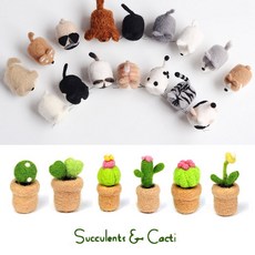 양모펠트선인장