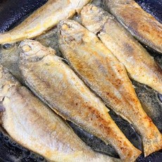 eTV [바다성찬] 영광 법성포 굴비 특대장대 90g x 20미 총1.8kg