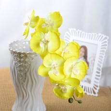 필름카메라현상기