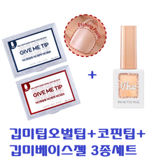 프롬더네일 깁미팁오발팁+코핀팁+깁미베이스젤3종세트/ 인조네일/ 코핀팁/ 오발팁/ 오벌팁/ 글루없이 연장하는 인조네일/ 깁미팁, 깁미팁오발코핀베이스젤3종세트