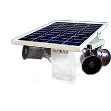 추천10 고라니퇴치기