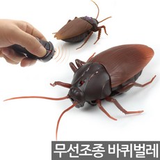 움직이는바퀴벌레