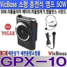 빅보스gpx-10