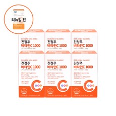 진정주 비타민C1000 6통(600정), 100정, 6개