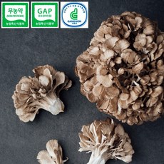 7ac5972d41e9511b3a086a0ad474674c549fdb55bdc5b1ea9c16ca1402e7.jpg