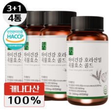 카무트효소 하이건강 호라산밀 곡물효소 골드 해썹인증