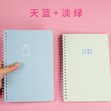 굳펫 가계부다이어리 계책 멀티 장부바인더속지 홈 재테크 노트 재무 명세장 데일리 지출함, 스카이블루 _엷은녹색