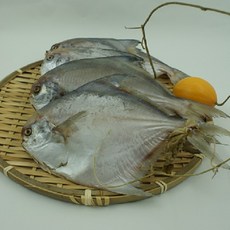 국내산 반건조 손질 여수병어 3마리 340g 내외 /구이용/조림용 6마리, 3팩 =9마리