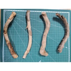 달팽이 놀이목 외목 낱개 세틀 프리미엄 나노 큰유목, 26~35g