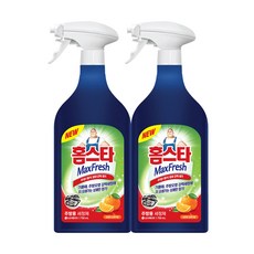 홈스타 주방용 세정제 750ml, 2개