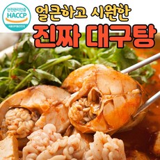 대구신차패키지가격