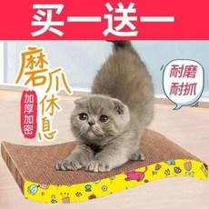 판다의발톱