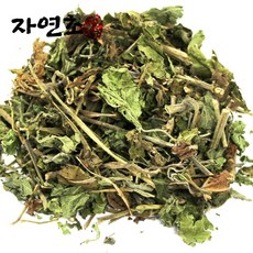 //상품명