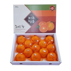 레드향솔림농원