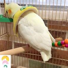 앵무새 깃털 자해방지 넥카라 앵무새옷 보호 조류옷, 색상:옐로우, M_옐로우, 1개