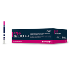 iq검사