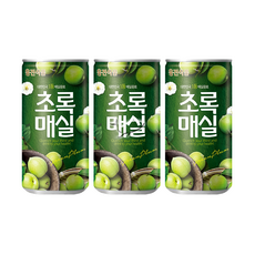 웅진 초록매실 180ml, 10개