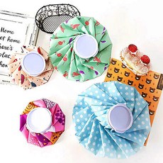 아이스비스킷신발주머니