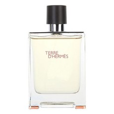 에르메스 떼르 데르메스 오 드 뚜왈렛 100ml