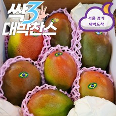 마하차녹망고