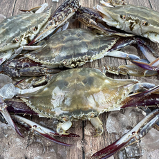 아빠가사온해물