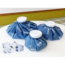 동물의숲스피카