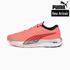 푸마 여성용 러너 입문자용 쿠셔닝 런닝화 벨로시티 Velocity Nitro 2 Wns 376262-07