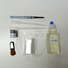 진단바이러스학