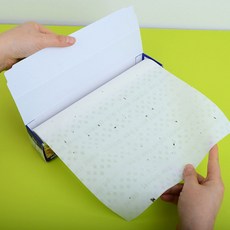 레드블레미쉬기름종이