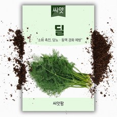 딜씨앗(400립) 허브