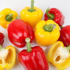 못난이 파프리카 5kg 혼합 가정용 국내산, 단품, 단품