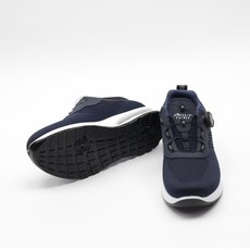 사푸라이나비침