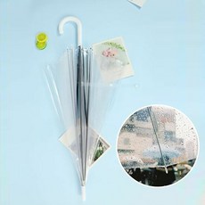 디디의우산