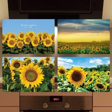 강화유리아트보드