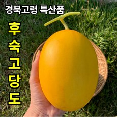 [달달스윗] 양구메론 경북 고령 최상급 특산물 후숙 달달