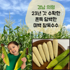 햇옥수수-추천-상품