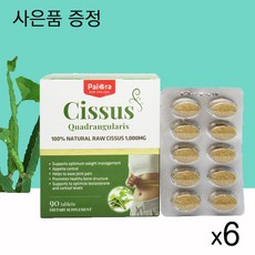 이나영시서스알약