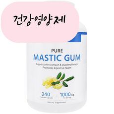 [미국빠른직구] 마이라이프 내추럴스 매스틱검 1000mg 240정, 1개