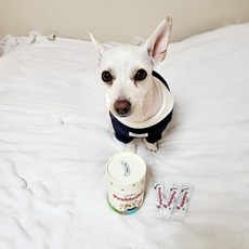 마이펫푸 멍쾌 프로바이오틱스 강아지 유산균, 상세페이지 참조, 상세페이지 참조, 상세페이지 참조, 본상품