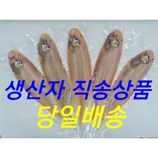 군산박대