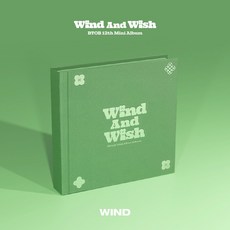 비투비 (BTOB) - 미니 12집 WIND AND WISH (WIND Ver.), 미개봉새상품