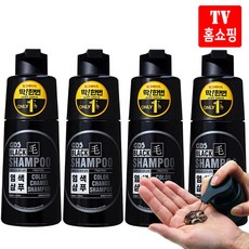 리치 블랙모 지디에스 딱한번 염색 탈모 샴푸 250ml 2병 /4병 새치 흰머리 샴푸 컬러 블랙 갈변 탈모 두피케어, 염색샴푸 4병