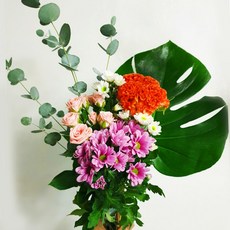 6c63601c63dd9c12c8cad19b9e40d27cd70b98b9f498e252b8db0d9b08e6.jpg