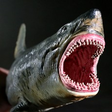 acce50c00a4262dcd7a9c94d08e85afc7b00760f269d2853123452558d91.jpg