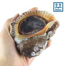 f626061fc453d6c2a3d3a34feedda7e7a4a44f80e25d7f2db8a8f28e78d0.jpg