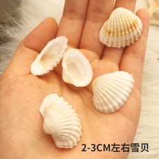 208e501c089a43ada67787428d91aafd75587358cf45b08d0aa9d7bb0560.jpg