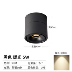 롱핀조명